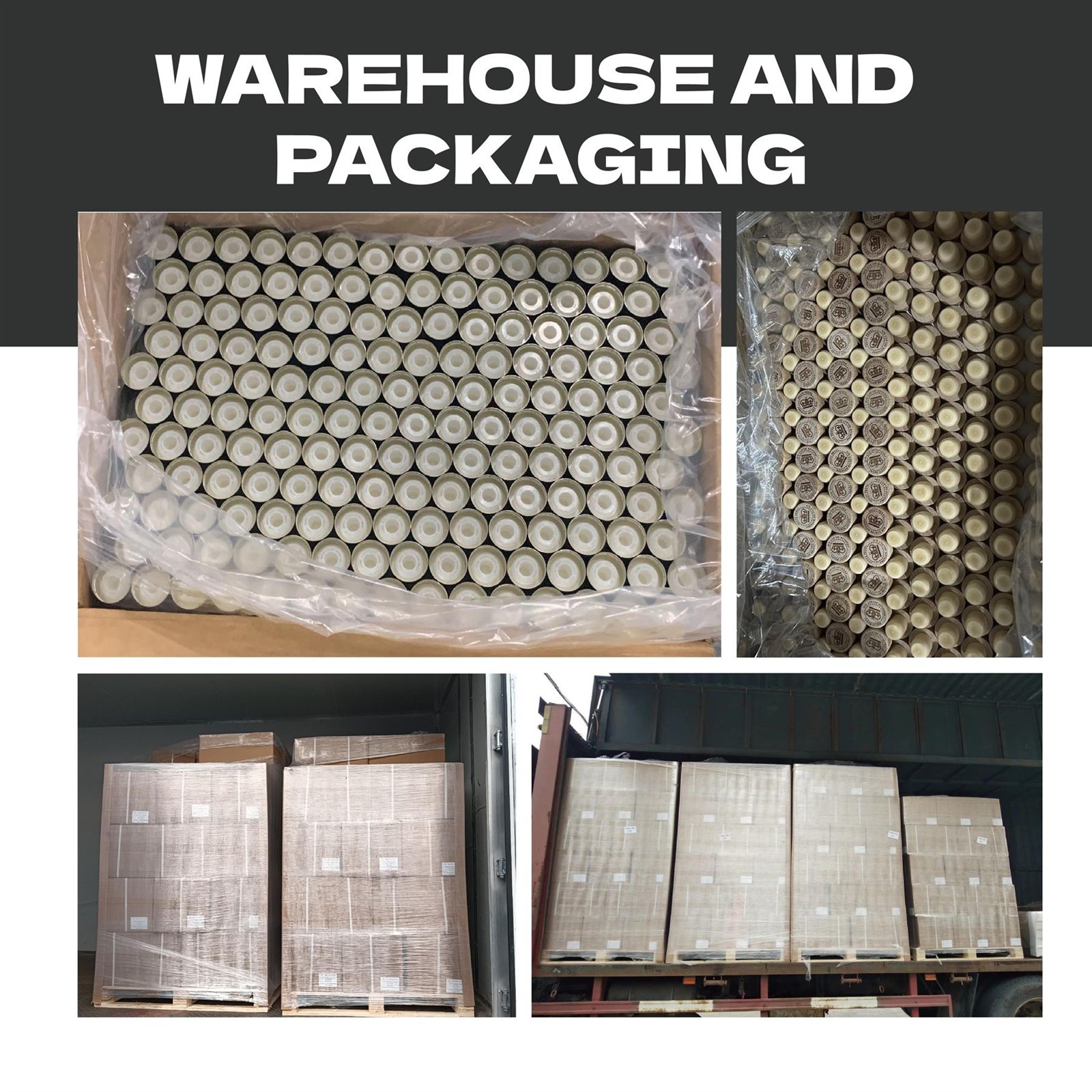 product-1800-1800 product-1800-1800