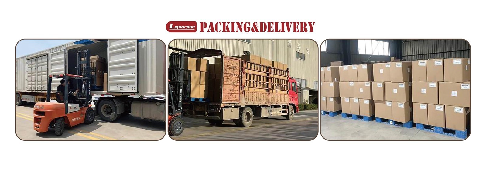 product-1600-565 product-1600-565